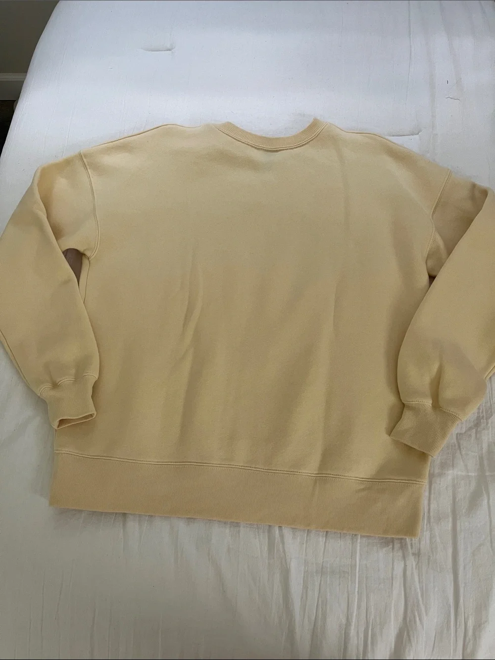 Light Yellow Papayas Sweatshirt - Picture 4 of 4
